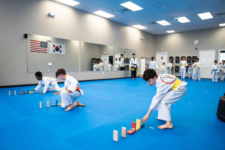 Taekwondo Classes | World Taekwondo Monroe