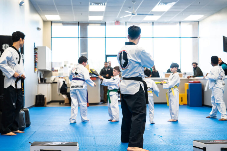 Taekwondo Classes | World Taekwondo Monroe